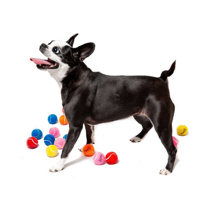 Wild One, Tennis Tumble Dog Toy, Assorted Colors