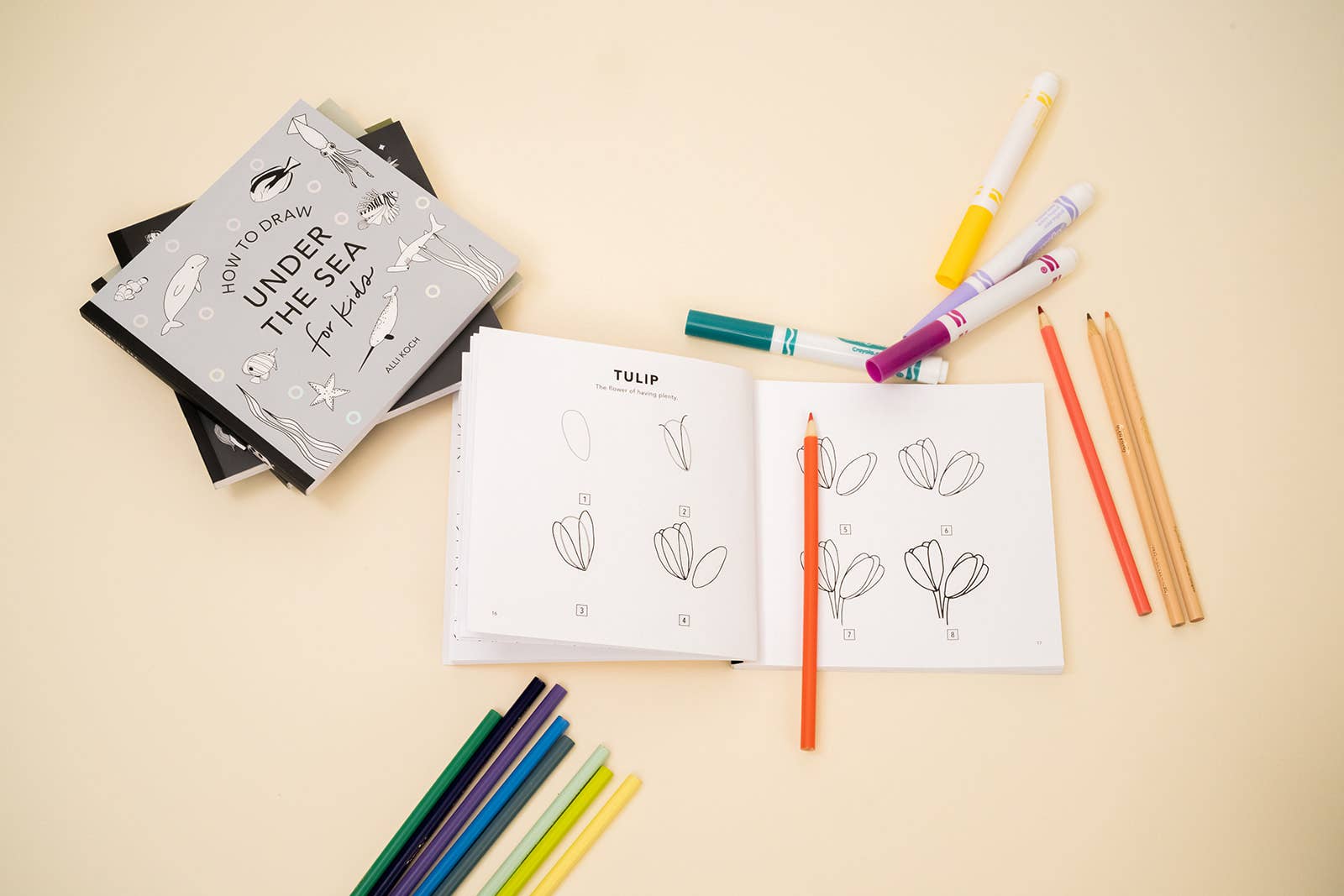 Paige Tate & Co. - Wholesale Coloring & Activity Book - Kids & Baby - How to Draw So Many Things: Set of 5 Books for Kids3