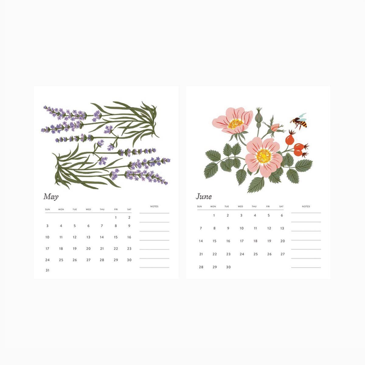 Botanica Paper Co. - Wholesale Calendar - 2026 DESK CALENDAR – Botanical Art | Botanist Collection4