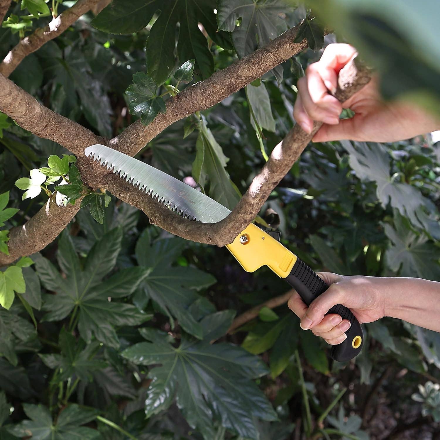 Bates Choice - Wholesale Garden Tool - Bates- Folding Saw, 7-Inch, Hand Saw, Pruning Saw6