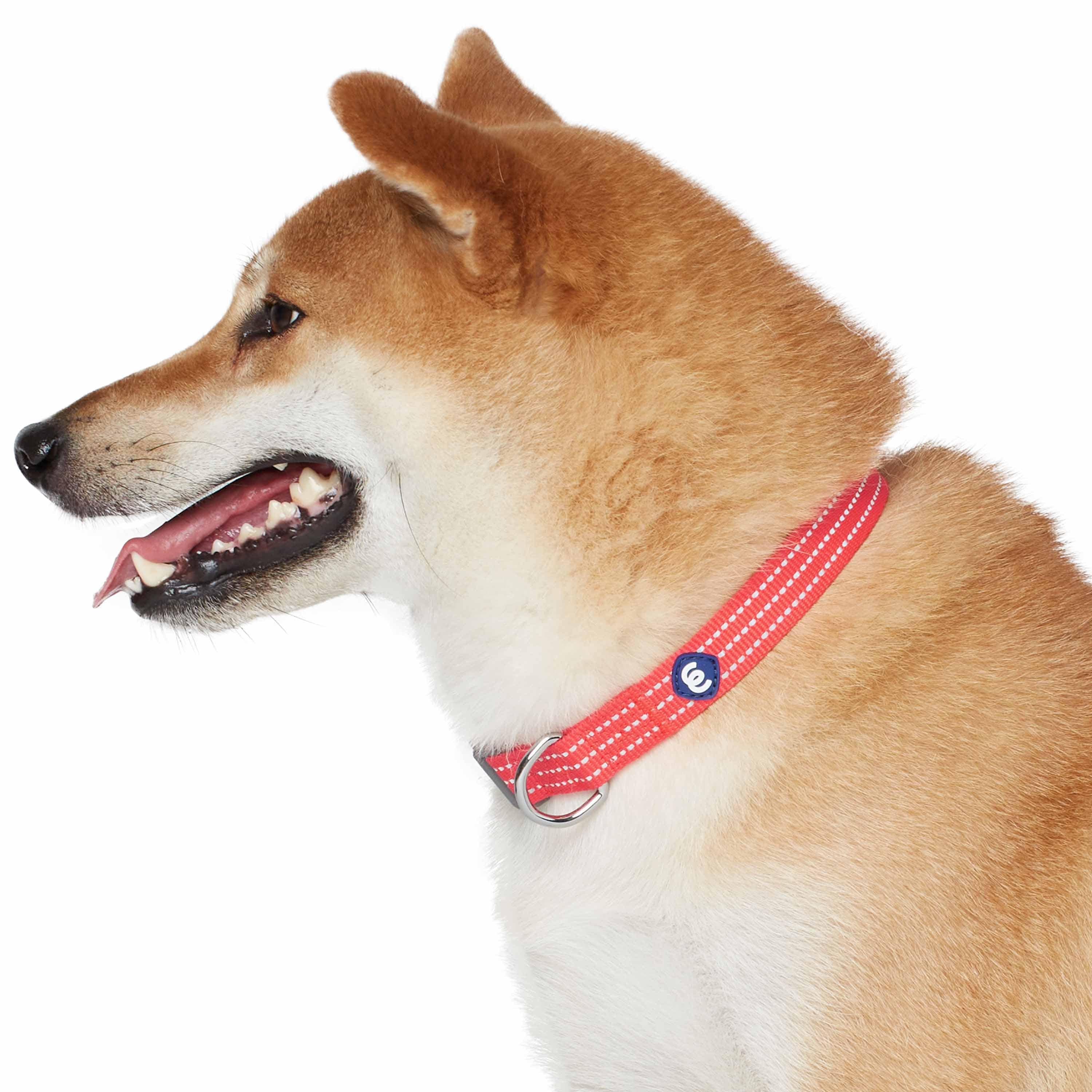 Blueberry Pet - Venta al por mayor Collar - Perros - Collar reflectante para perros Better Basic en 8 colores4