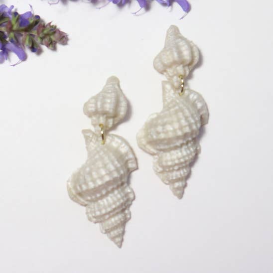 Marina Seashells for wholesale by Shaping Clays