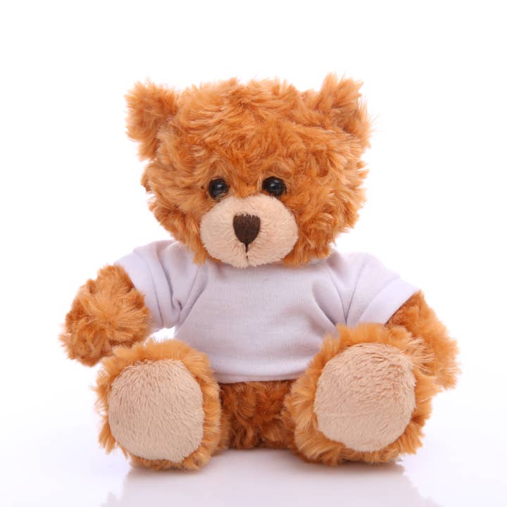 Plushland - Wholesale Stuffed/Plush Toy - Kids & Baby - Customized Plush teddy bear with tee shirt, sitting, 11