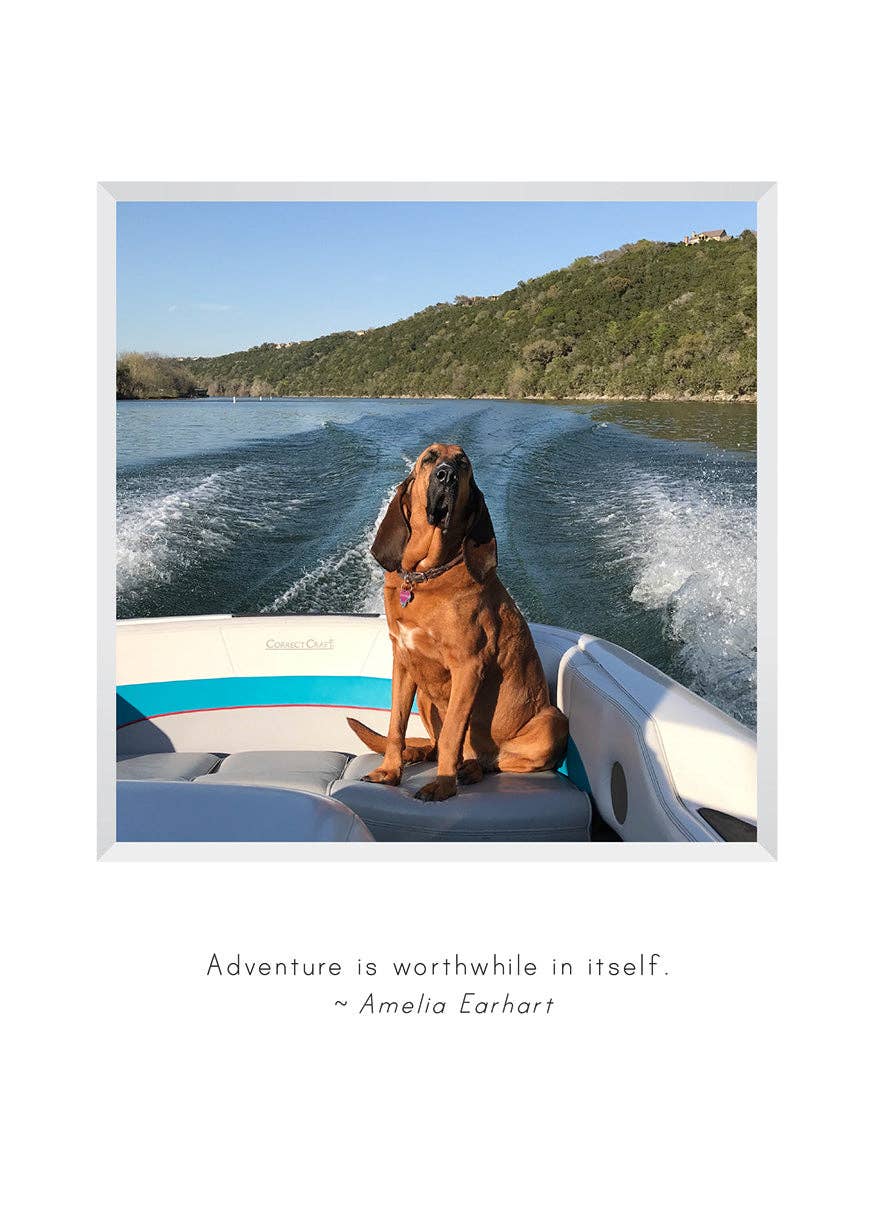 Stonehenge Designs - Wholesale Congratulations Card - B732 - Adventures with Ladybird