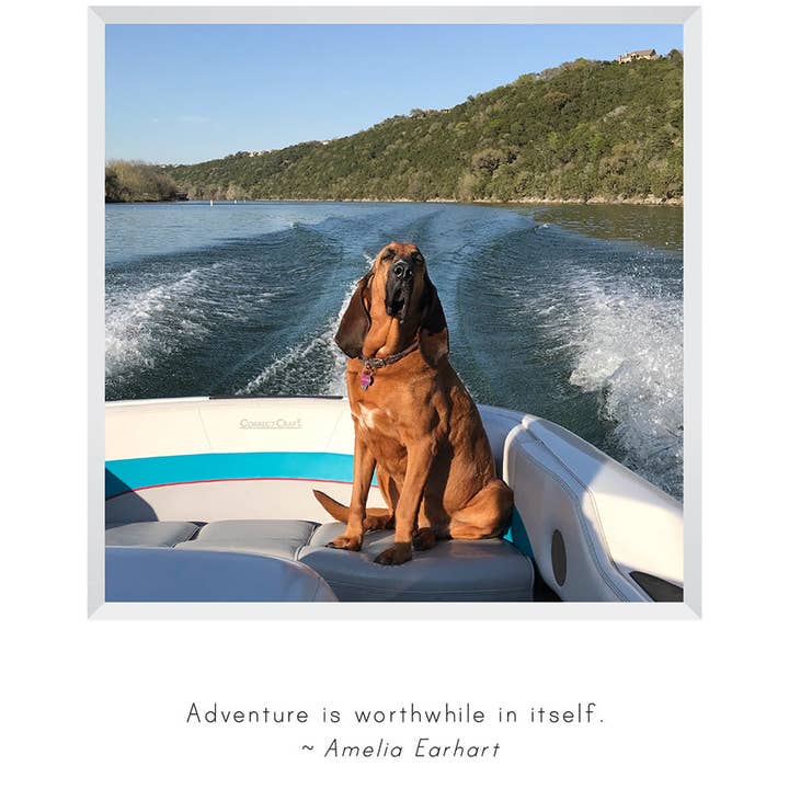 Stonehenge Designs - Wholesale Congratulations Card - B732 - Adventures with Ladybird0