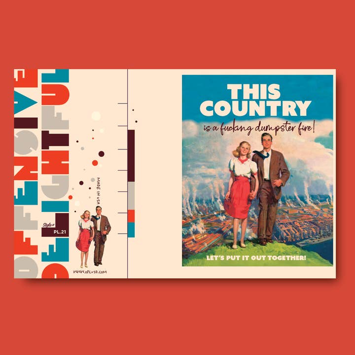 offensivedelightful - Wholesale Everyday Greeting Card - THIS COUNTRY political greeting card1