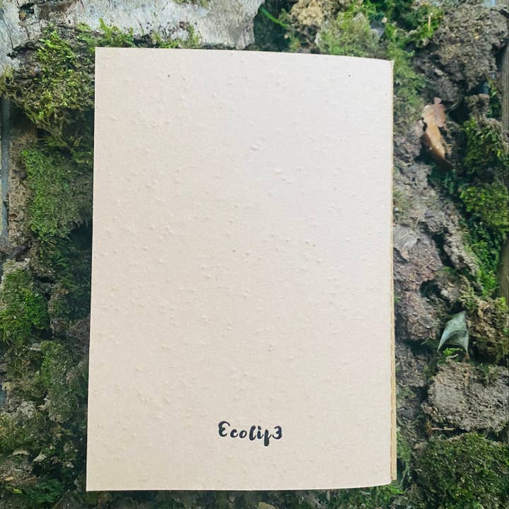 Ecolif3 - Vente Blocs-notes - Bloc-notes Plantable A51