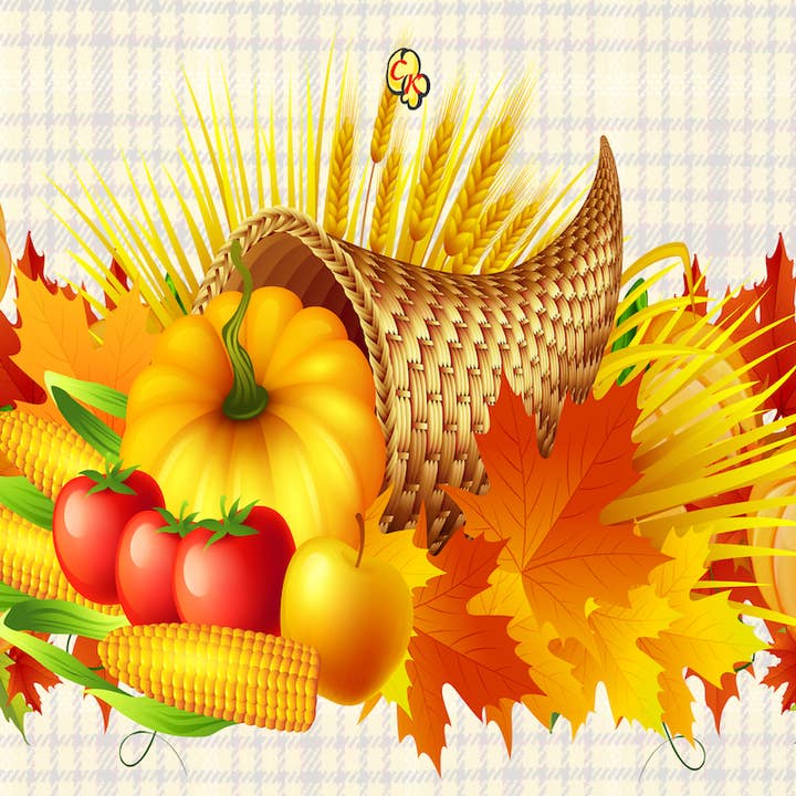 Colorado Kernels - Wholesale Popcorn - Cornucopia Savory/Delight Popcorn Bucket1