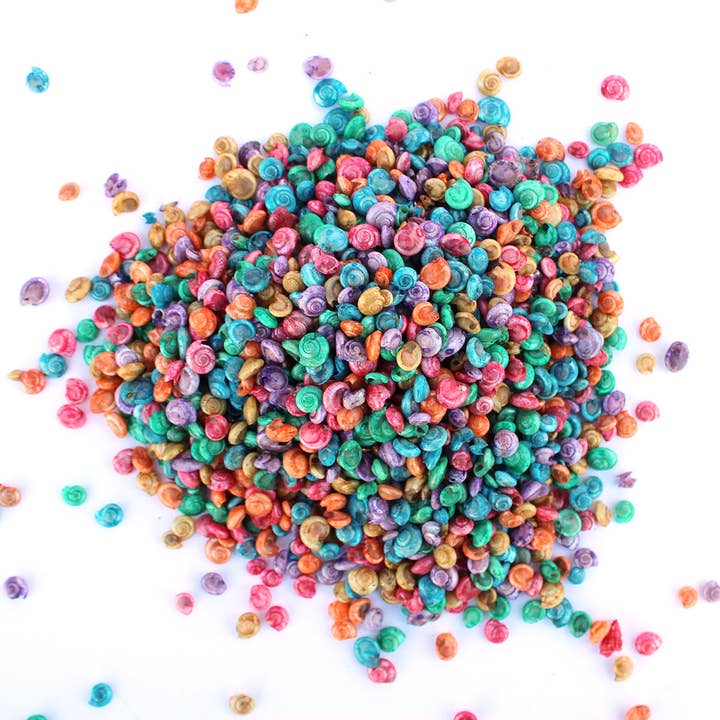 Mini Dyed Umbonium Craft Shells - 1 LB for wholesale by California Seashell Company