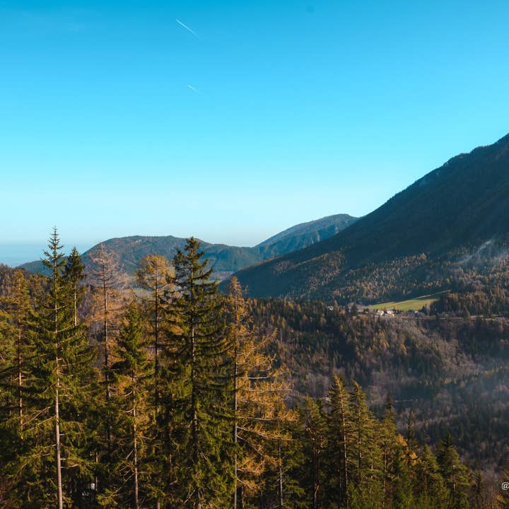 Austria 30 for wholesale by Autumn Carolynn Photography