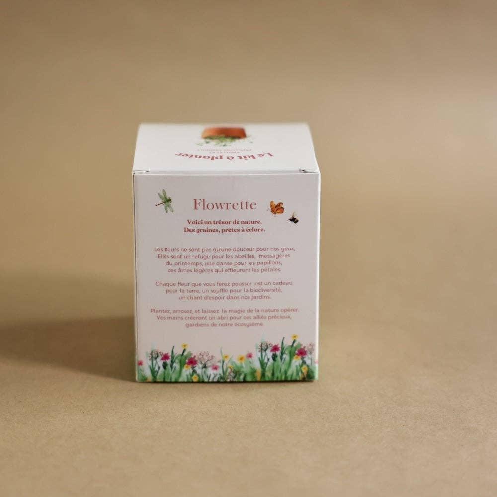 Flowrette - Wholesale Plant Seeds - Planting kit11