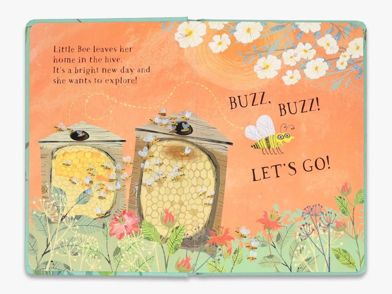 Thames and Hudson – wholesale Baby and toddler book (0–2) – Little Bee's Book of Blooms (The Big Book series)1