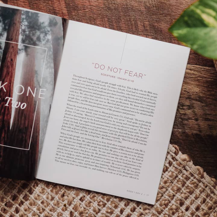When Fear Meets Faith - Men's Bible Study for wholesale by The Daily Grace Co