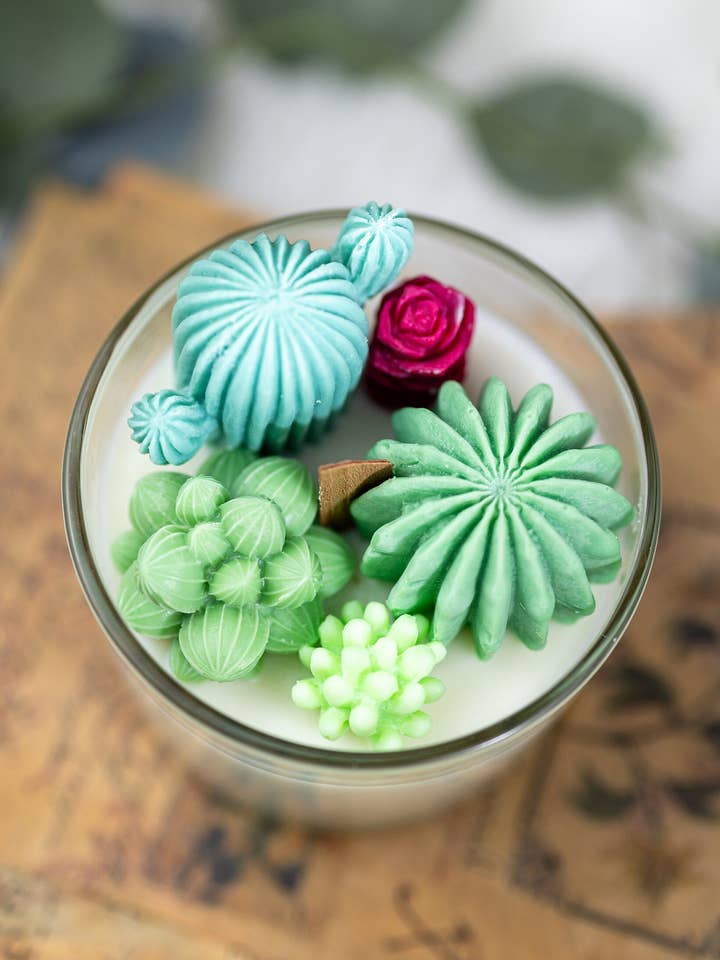 Grande bougie en verre pour cactus succulents, terrarium de cactus succulents pour la vente par MySunshineCandless