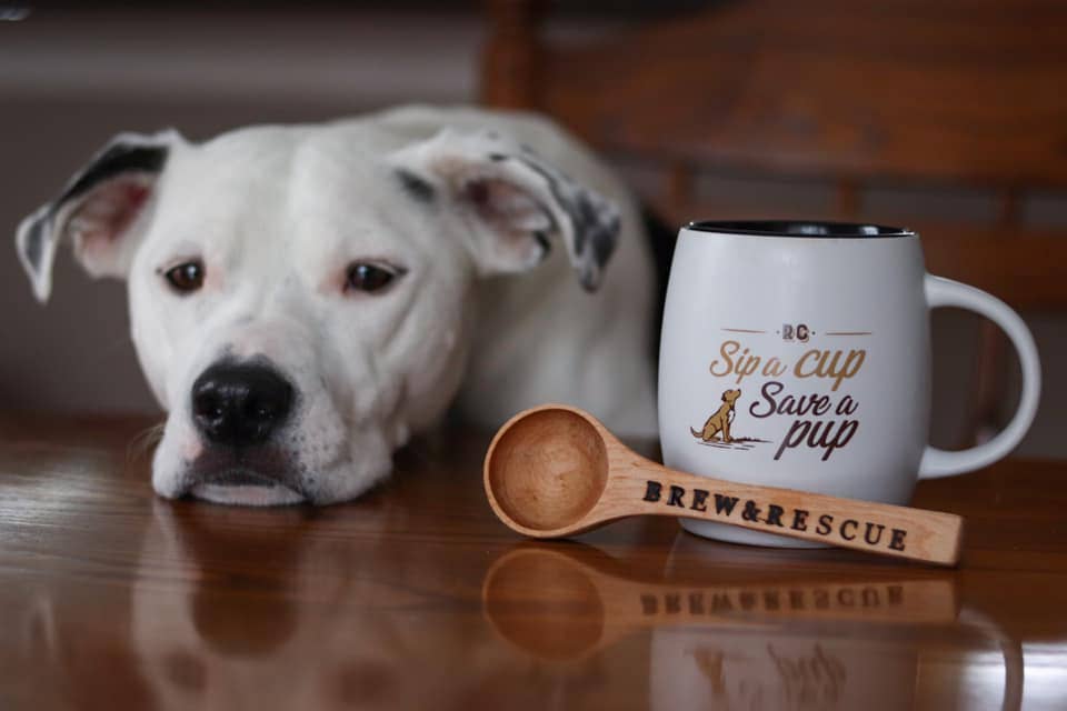 Rescue Coffee Co. – wholesale Kaffebönor – Bark & Bite | Mycket mörkrost | 454 g påse | Ekologiskt kaffe6