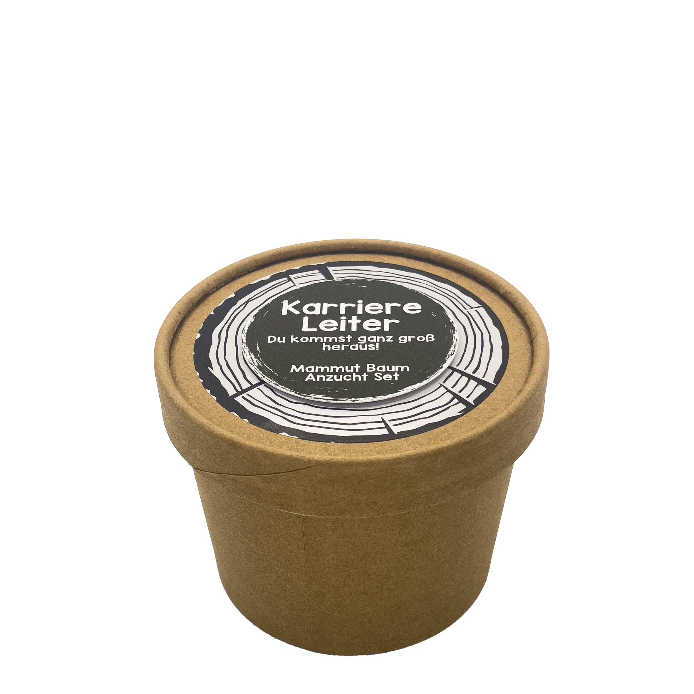 Wunderle GmbH – Engroshandel Plantefrø – Career ladder Pott sequoia dyrkningssæt0