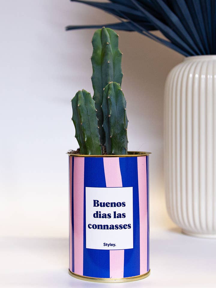 Buenos Dias Las Connasses - Cactus for wholesale by Styley