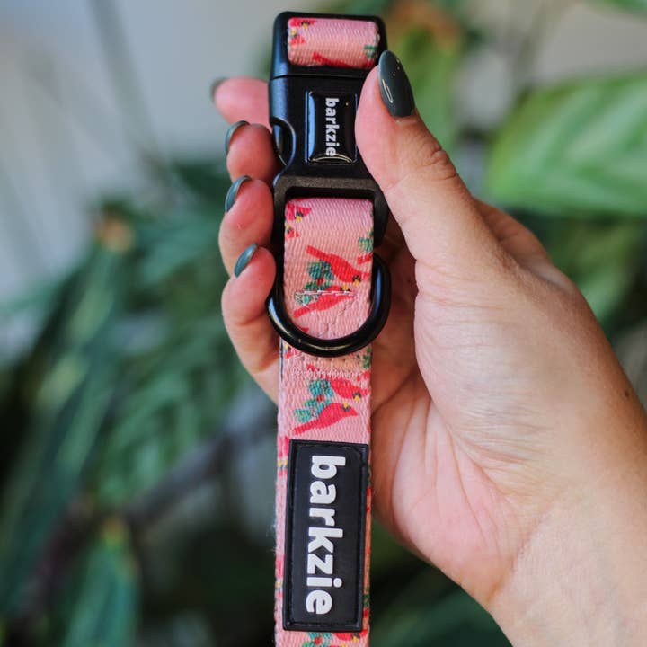 barkzie – Engroshandel Halsbånd - Hund – Krave - Santa Fe0