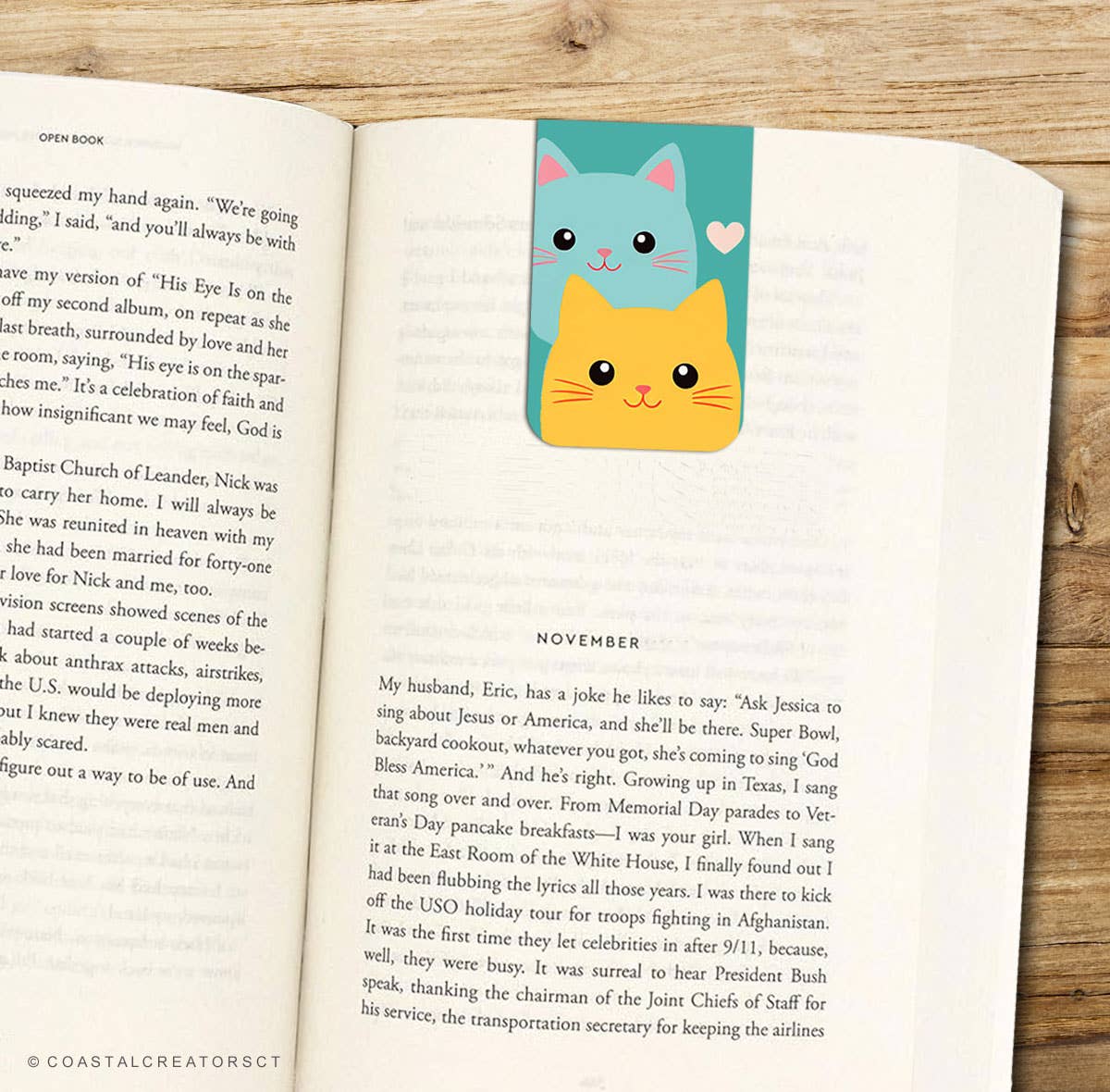 Coastal Creators of Connecticut - Wholesale Bookmark - 2-Pack Colorful Cats Magnetic Bookmarks (Packaged)4