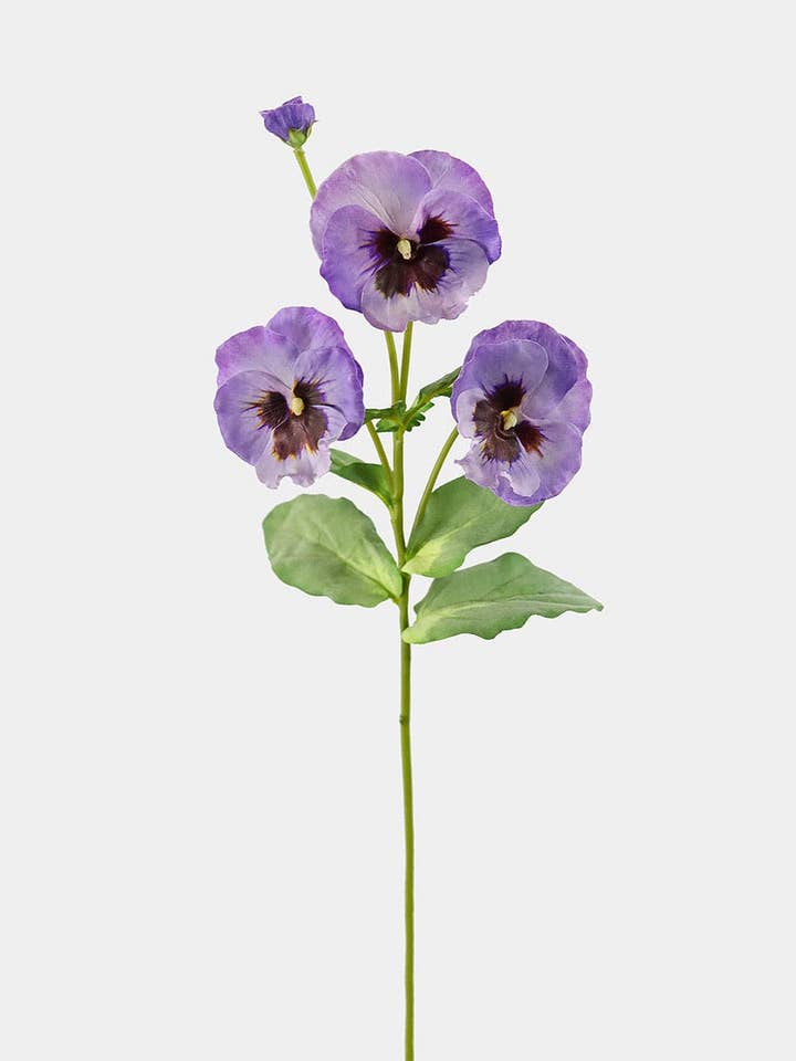 Viola di Seta Lavanda 21" per la vendita all'ingrosso da parte di Prestige Botanicals