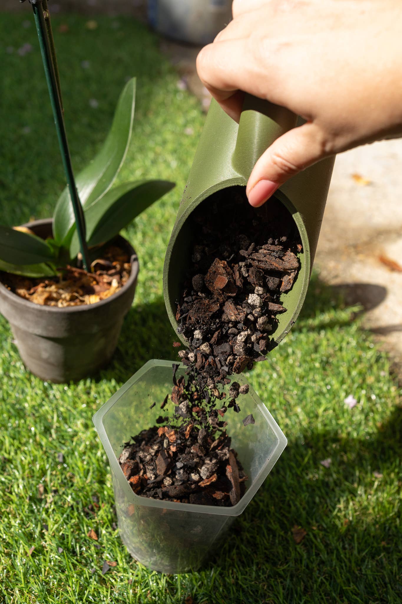 Rosy Soil - Wholesale Planting/Potting Soil - 4qt Orchid Mix1