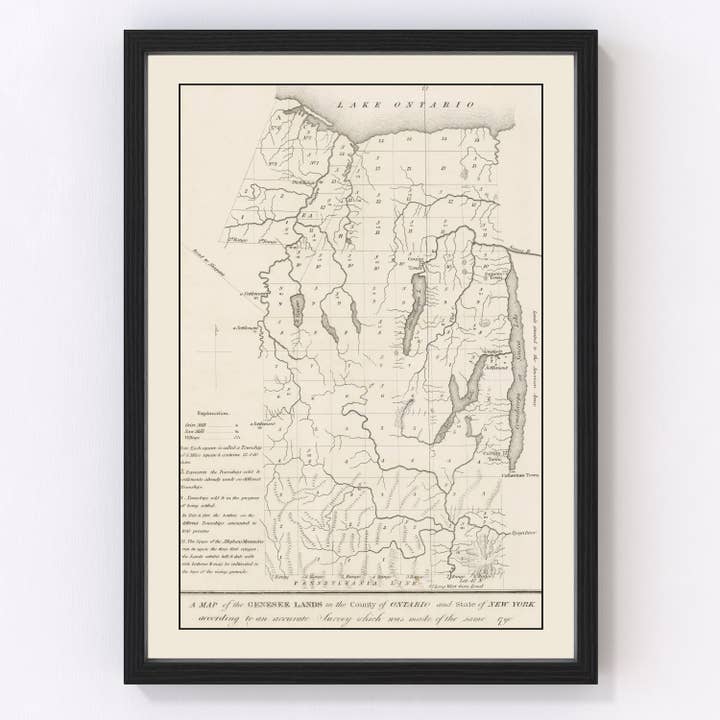 Vintage Finger Lakes Region Map 1849 for wholesale by Ted's Vintage Art