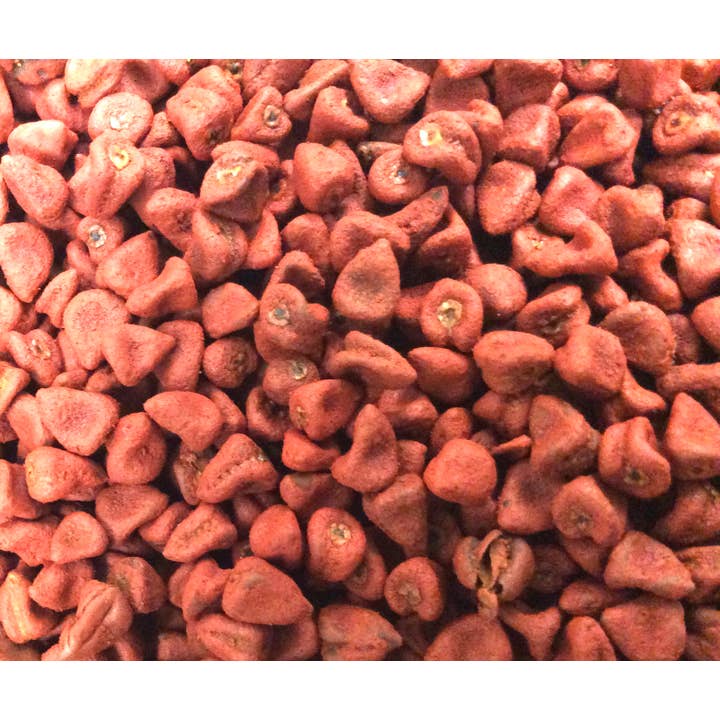 Pure Suds Co - Wholesale Plant Seeds - Annatto Seed, Whole2