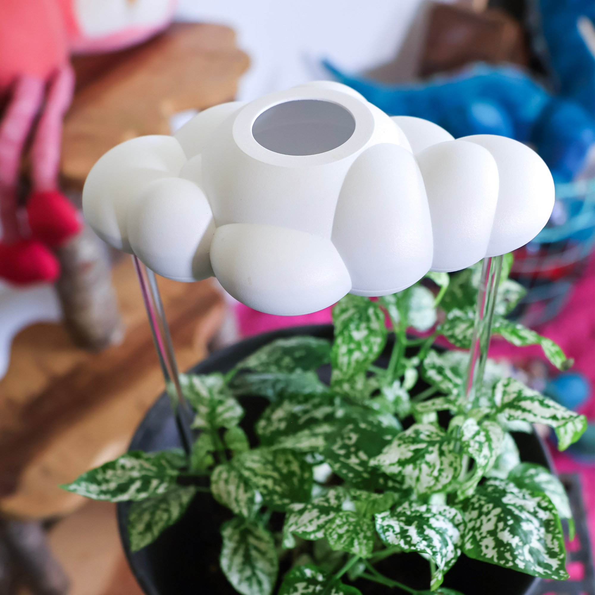 The Cloud Makers - Wholesale Watering Can - Original Dripping Rain Cloud11