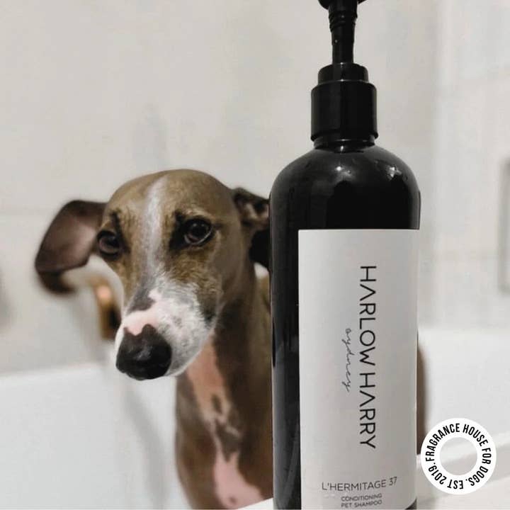HARLOW HARRY - Wholesale Pet shampoo – Dog - 2-in-1 Conditioning Dog Shampoo | L'hermitage 371