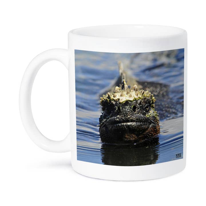 3dRose - Wholesale Coffee Mug - 3dRose, Marine iguana,Amblyrhynchus cristatus,at Punta Espinosa Fernandina Island Galapagos, Mug8