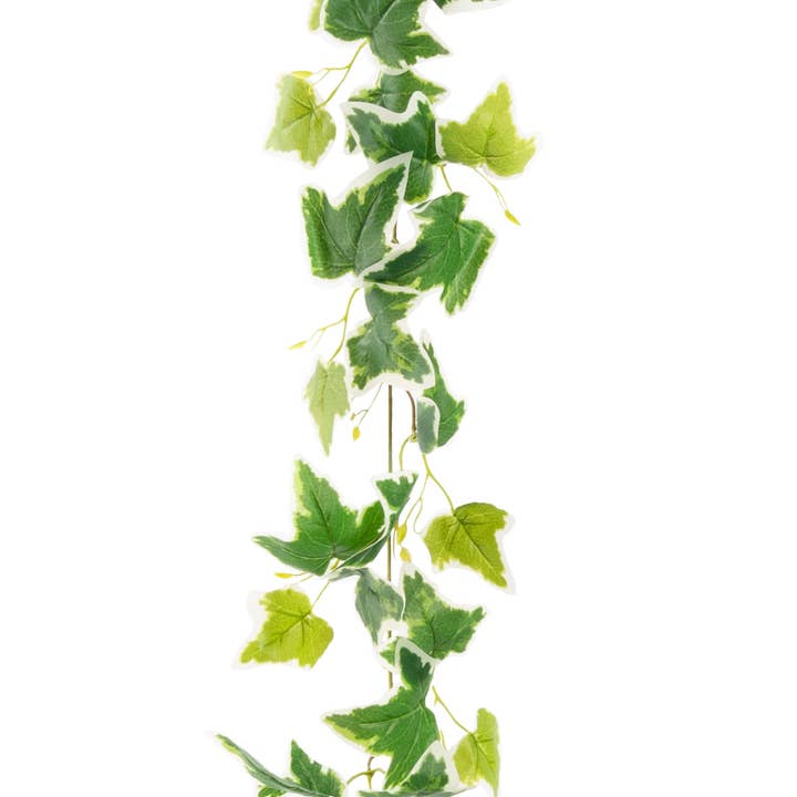 92" Ivy Garland Variegated x 88 Lvs for wholesale by Eleganza Floral