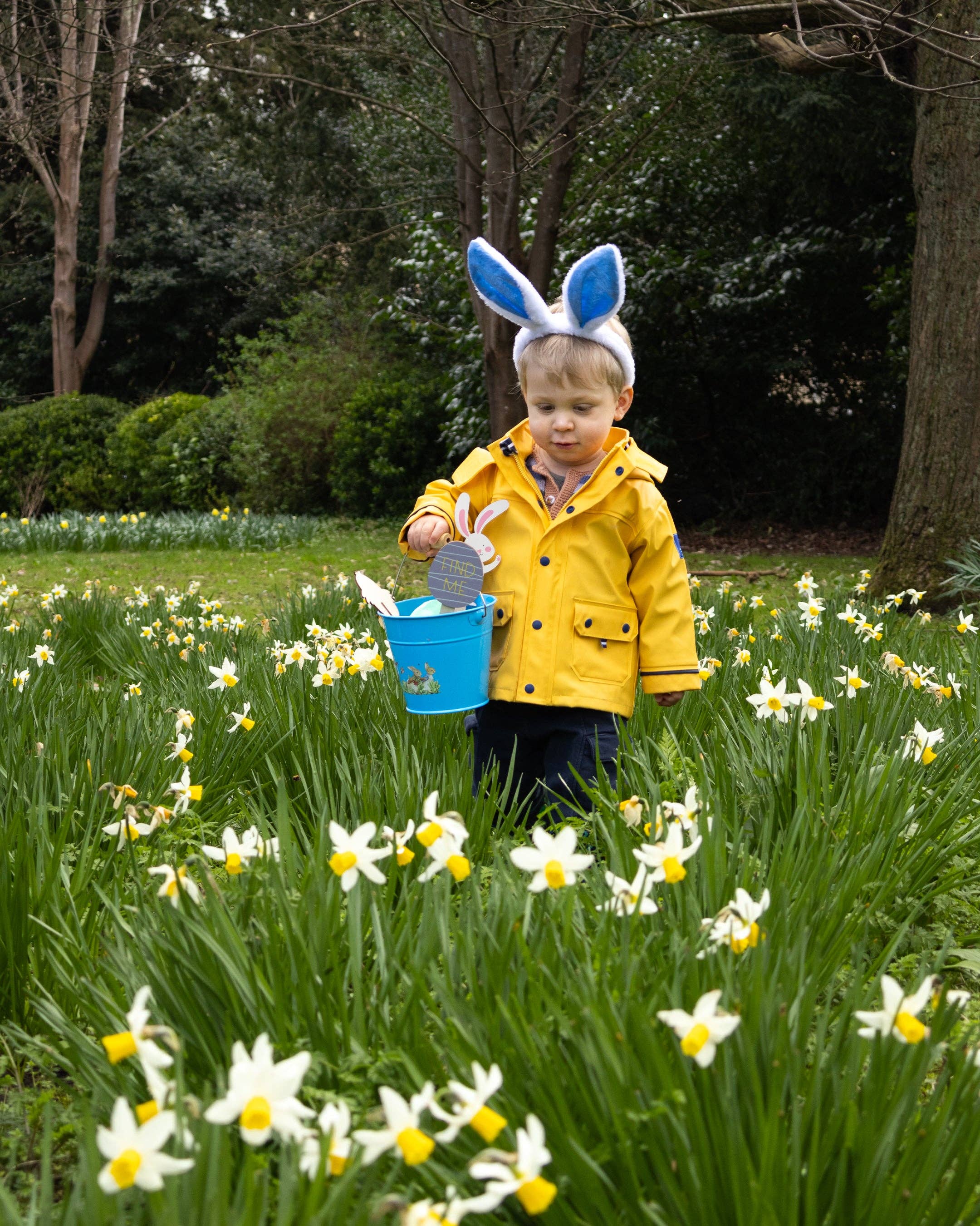 Robert Frederick Ltd – wholesale Bucket/pail – Kids – Beatrix Potter Children's Metal Bucket6