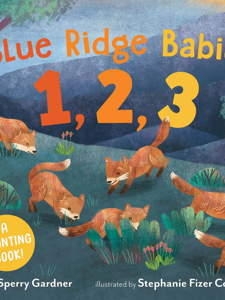 Blue Ridge Babies 1, 2, 3: A Counting Book for wholesale by Macmillan Publishers