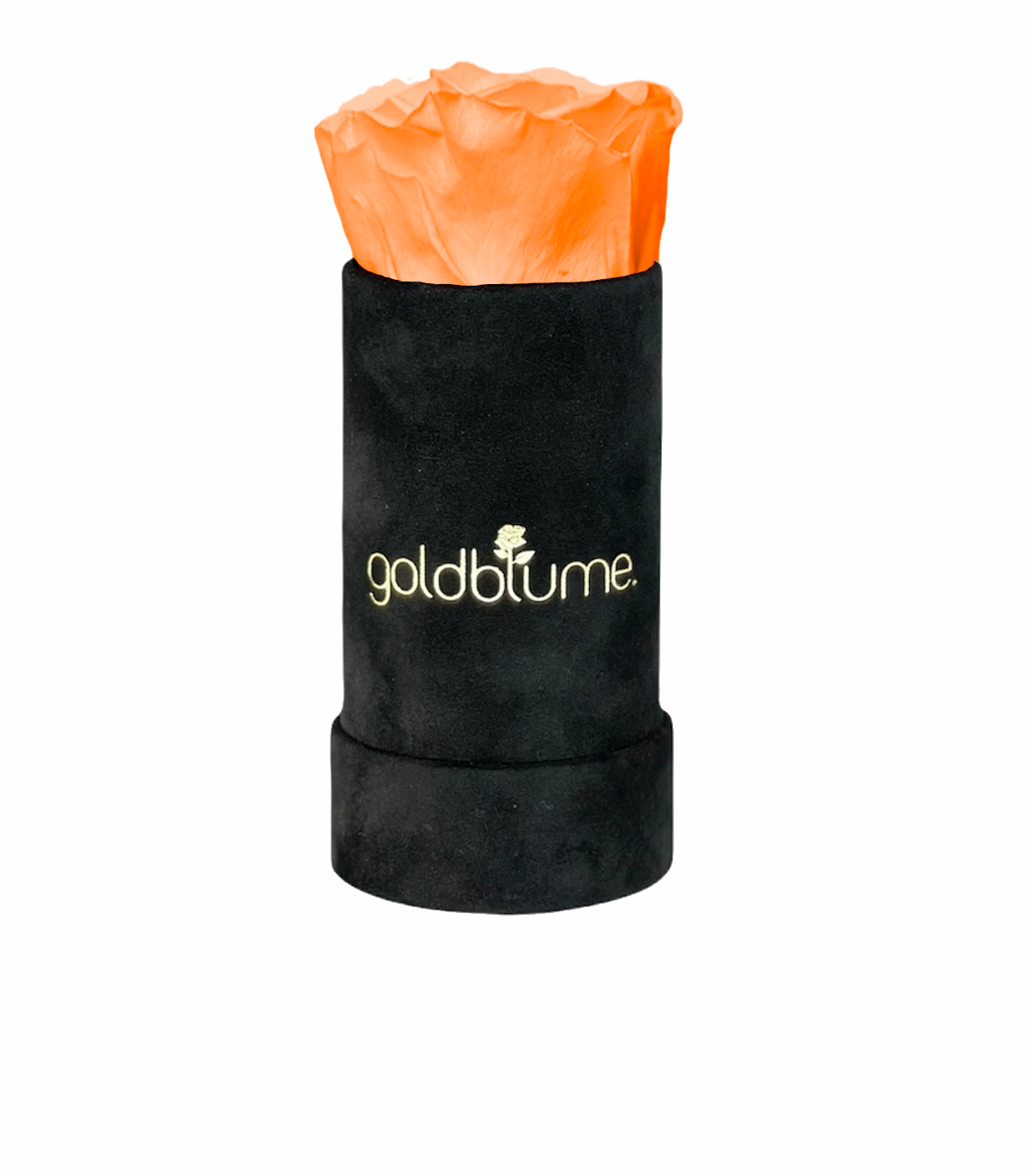 goldblume - Wholesale Artificial Flowers - Velvet black collection77