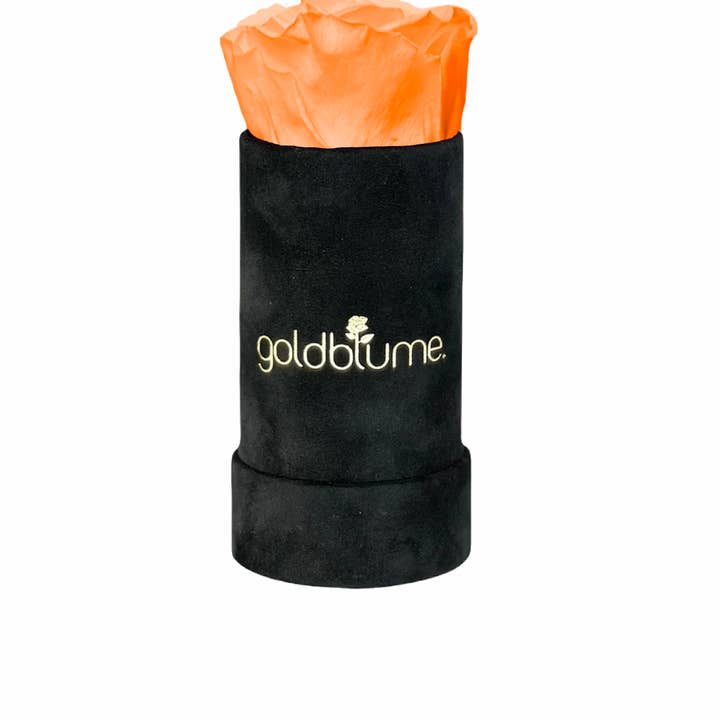 goldblume - Wholesale Artificial Flowers - Velvet black collection77