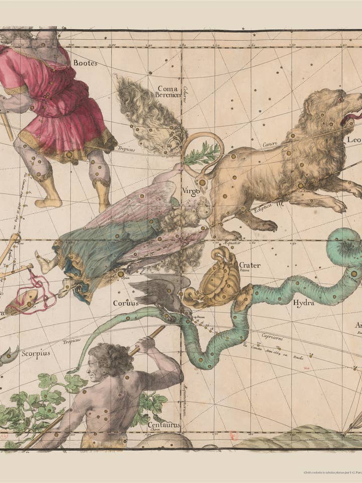 Zodiaque 4 – Lion, Vierge et Balance pour la vente par Les Jolies Planches