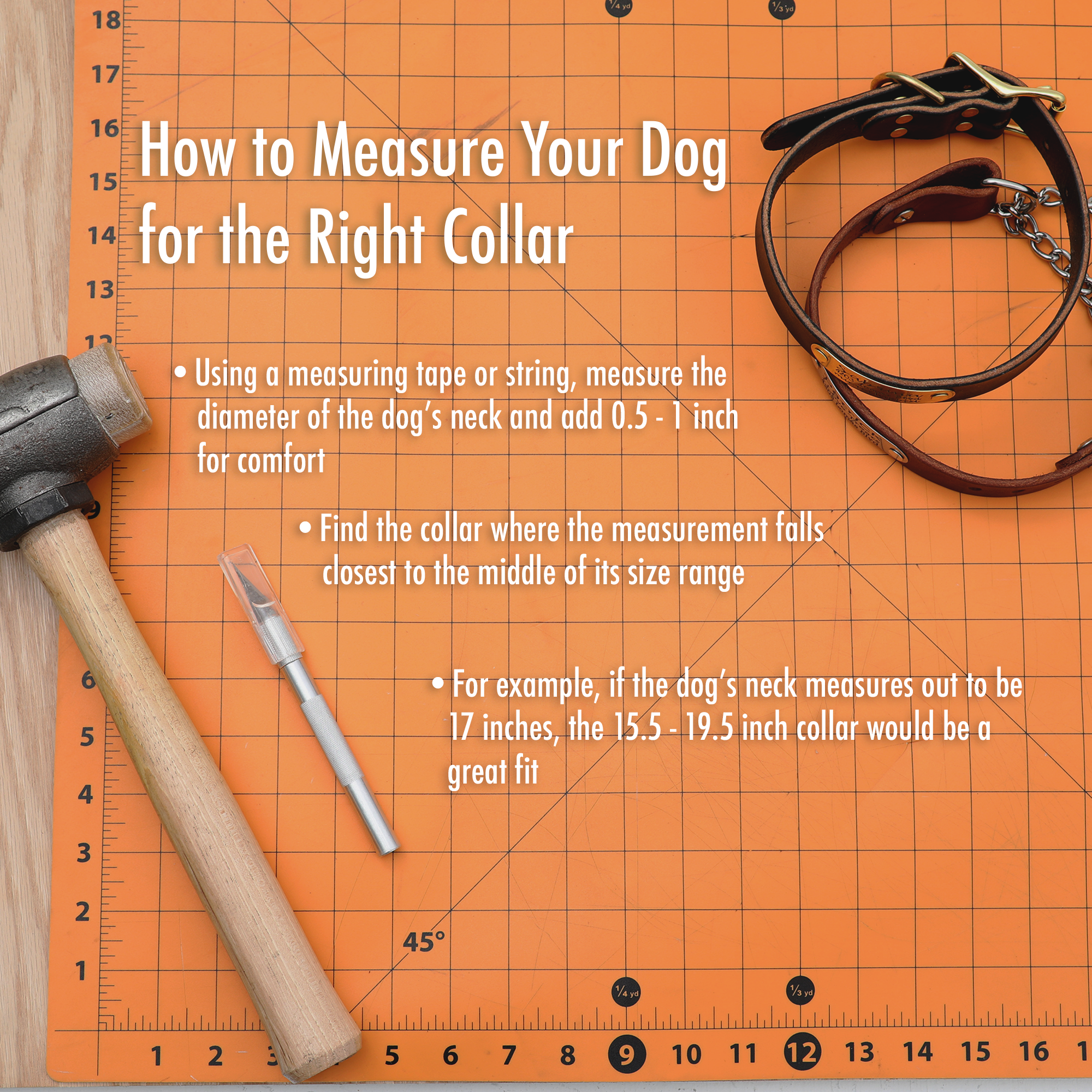 Mimi Green - Wholesale Pet Collar - Dog - Turquoise Studded Leather Dog Collar Belt Buckle – Billy9