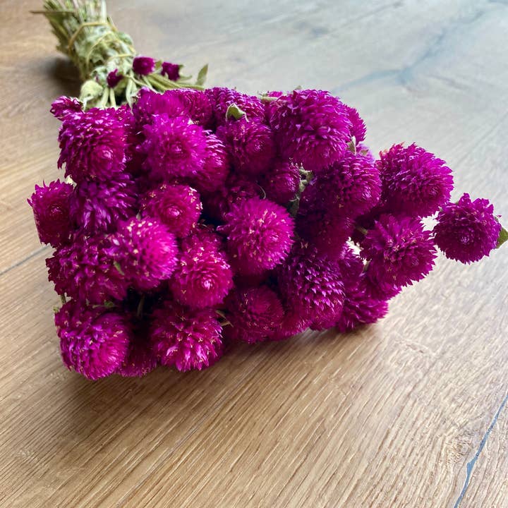 Lovejoy Farms Premium Dried Flowers - Wholesale Dried/Pressed Flowers - Globe Amaranth - Purple