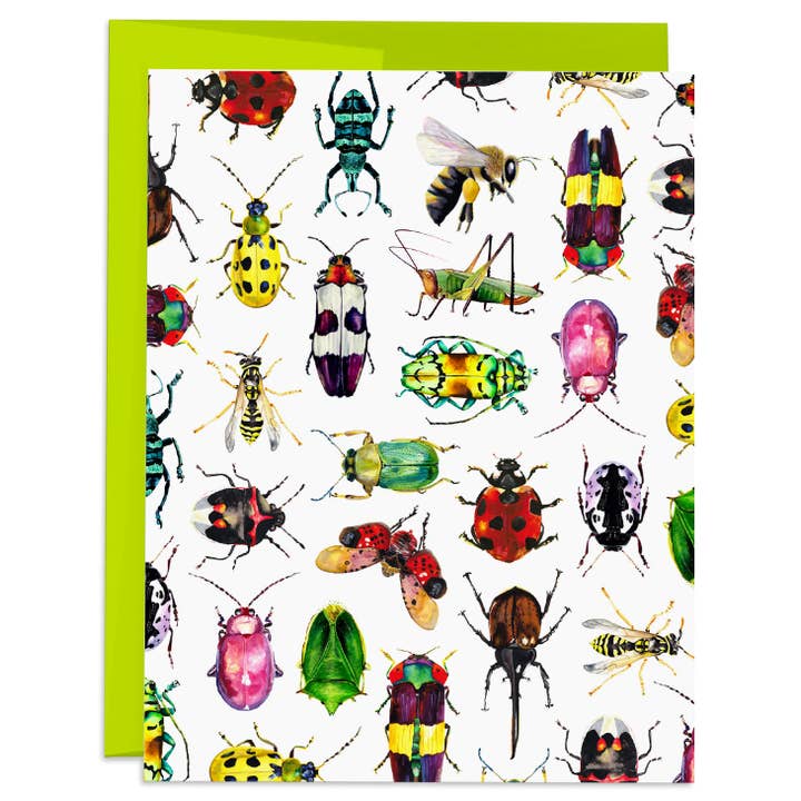 J6R6 – Cartão de saudação diária por atacado – Cartão Branco de Insetos