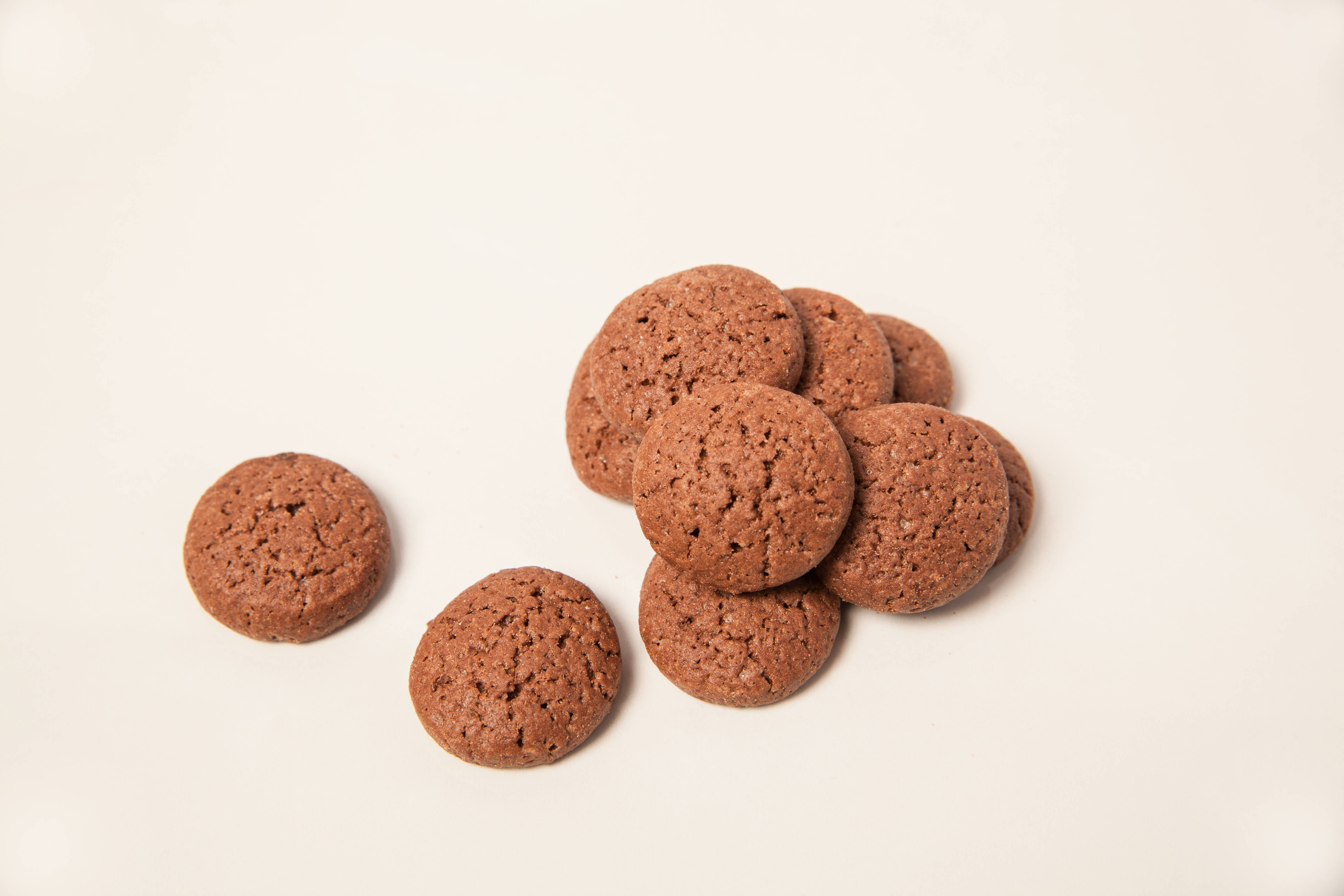 The Bites Company - Wholesale Cookie - Chocolate Bites4