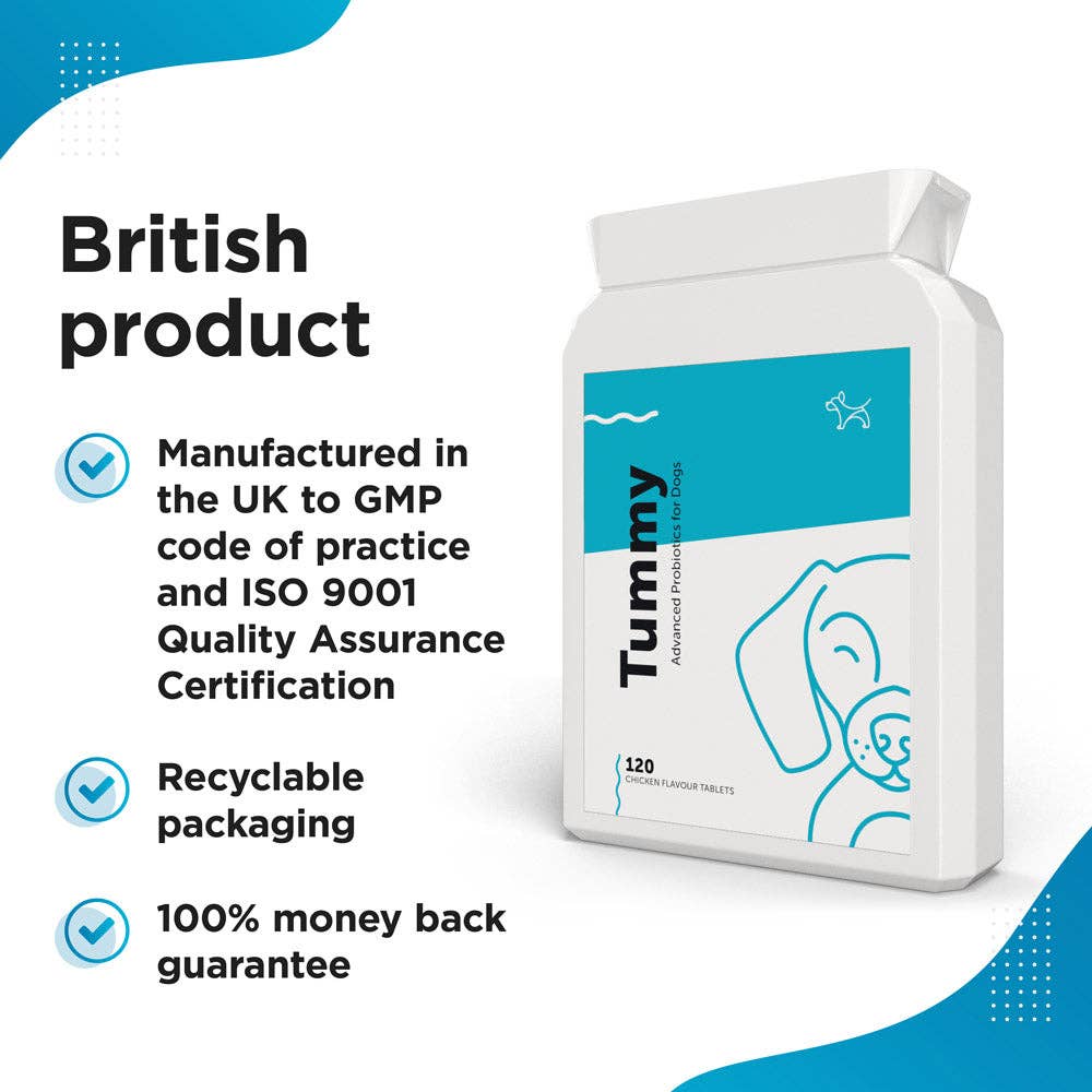 Dog's Lounge - Vente Compléments alimentaires – chien - TUMMY - Supplément probiotique et prébiotique pour chiens et chiots3