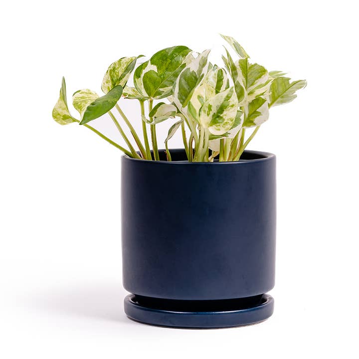 Last Chance - 10.5" Cylinder Pots with Water Saucers for wholesale by Momma Pots