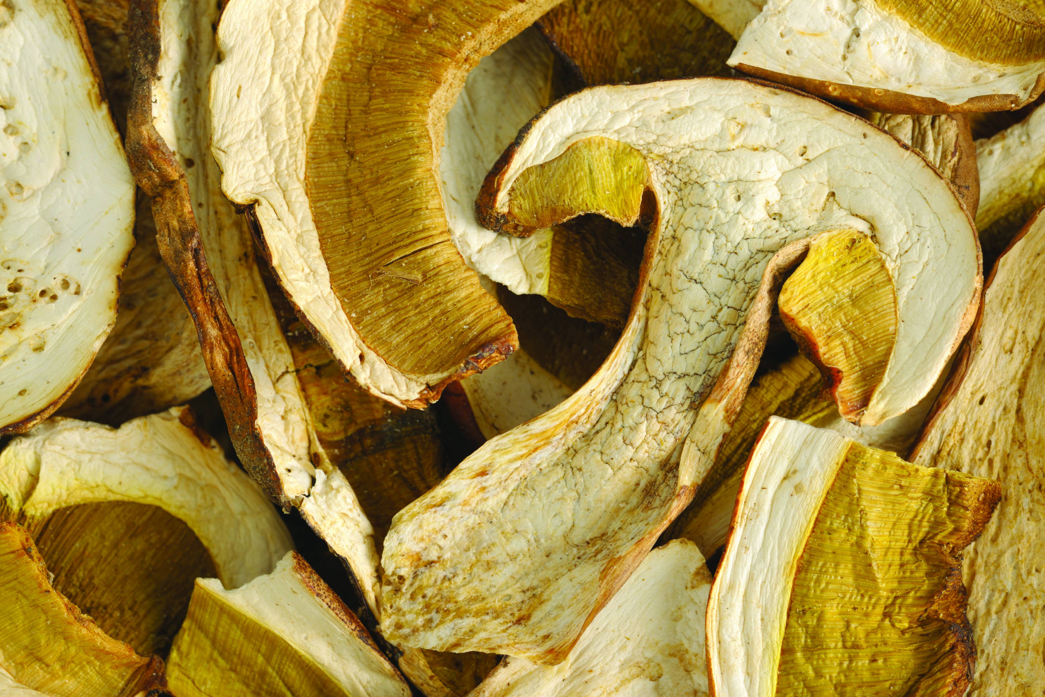 REMOVED BRAND - Vente Légumes secs/déshydratés - Cèpes Séchés "Extra" 30G - Bocal en Verre3