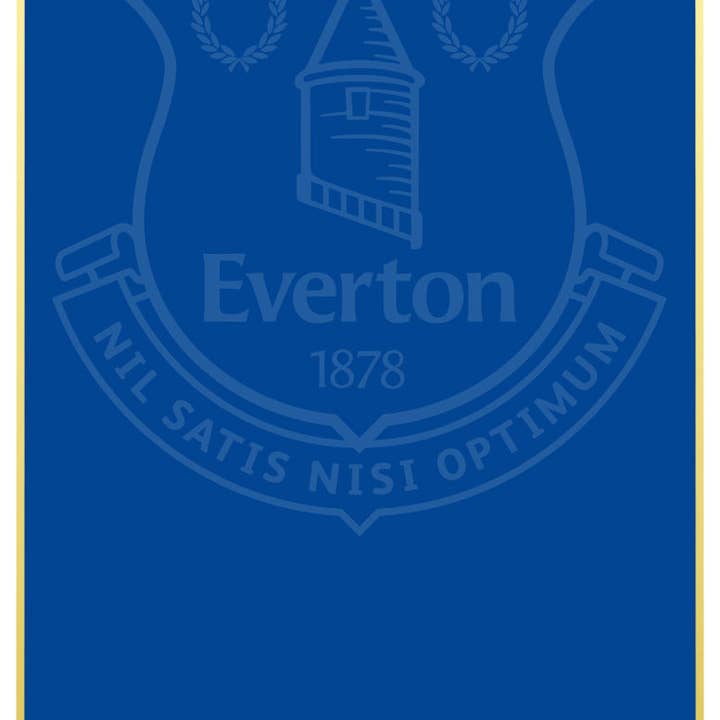 Tarjeta de Estadísticas Personalizadas Everton 24 para venta al por mayor de Themed