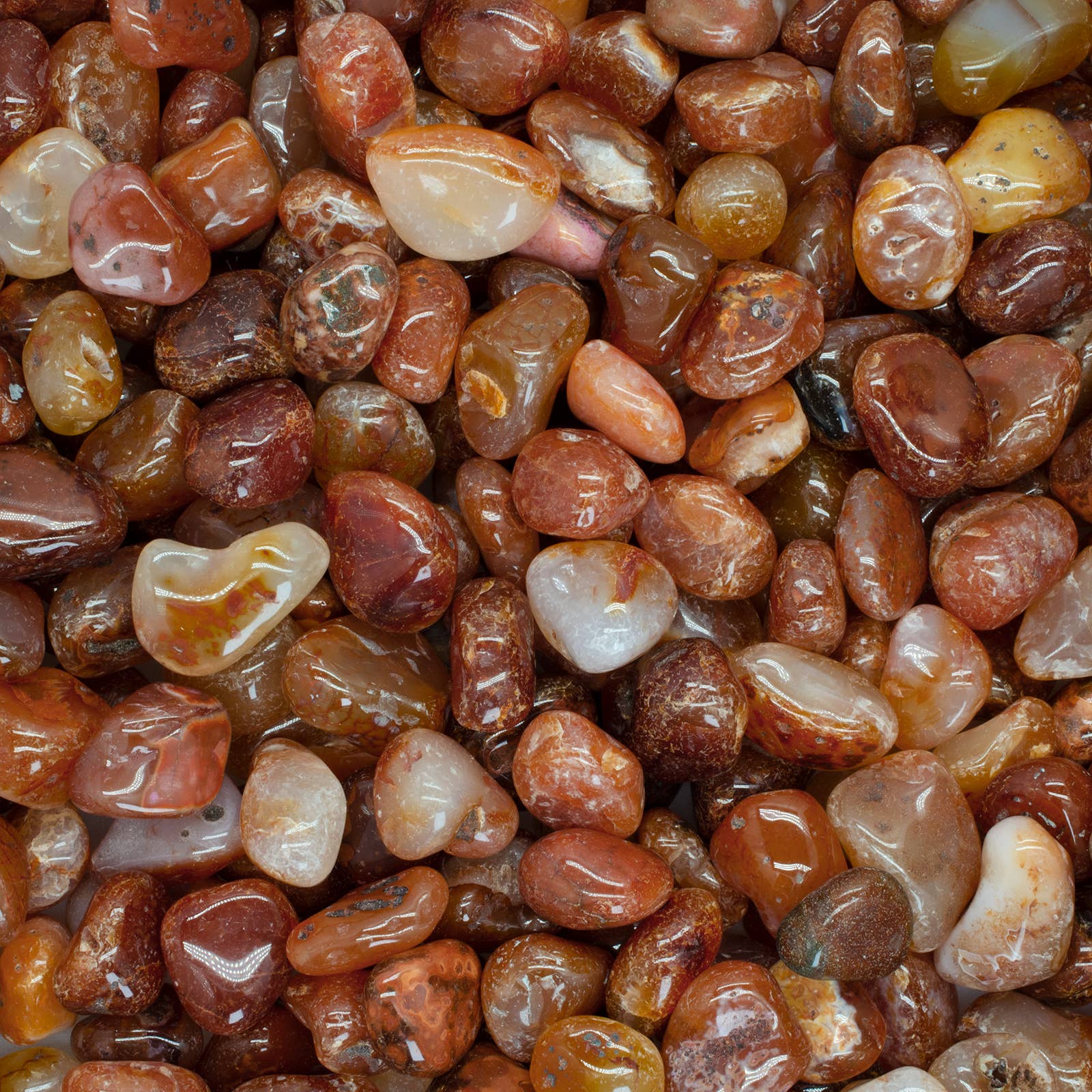 Fantasia Mining - Wholesale Spiritual Stone/Crystal - Tumbled Carnelian - S - B Grade - Brazil (1 lb)0