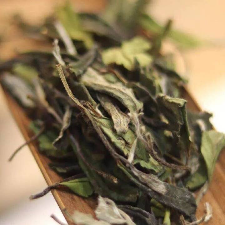 CHA'THE - Wholesale Loose Tea - Chinese White Tea - Shou Mei 寿眉