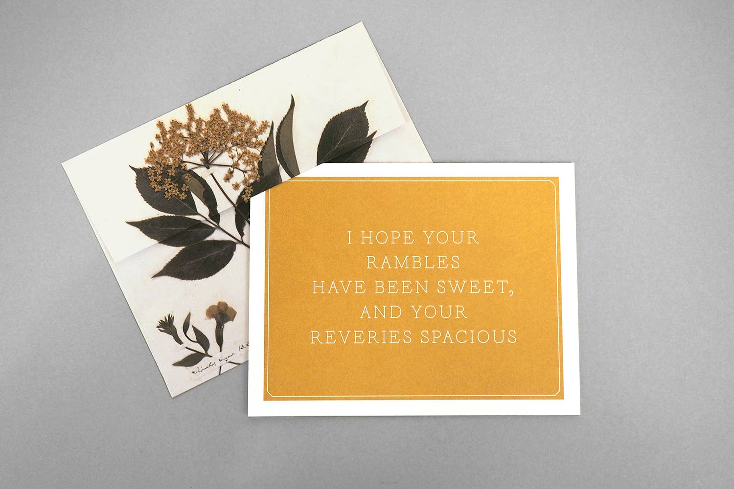 Chronicle Books - Wholesale Stationery/Notecard Set - Emily Dickinson Notecards7