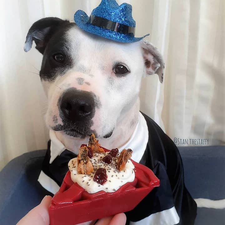 SodaPup Dog Toys - Wholesale Pet Chew Toy - Dog - Cherry Pie Durable Nylon Dog Chew Toy and Treat Holder6