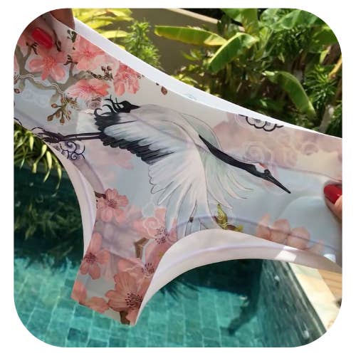 Mutandine Stork Lingerie FR♥️NCHY per la vendita all'ingrosso da parte di RFUN