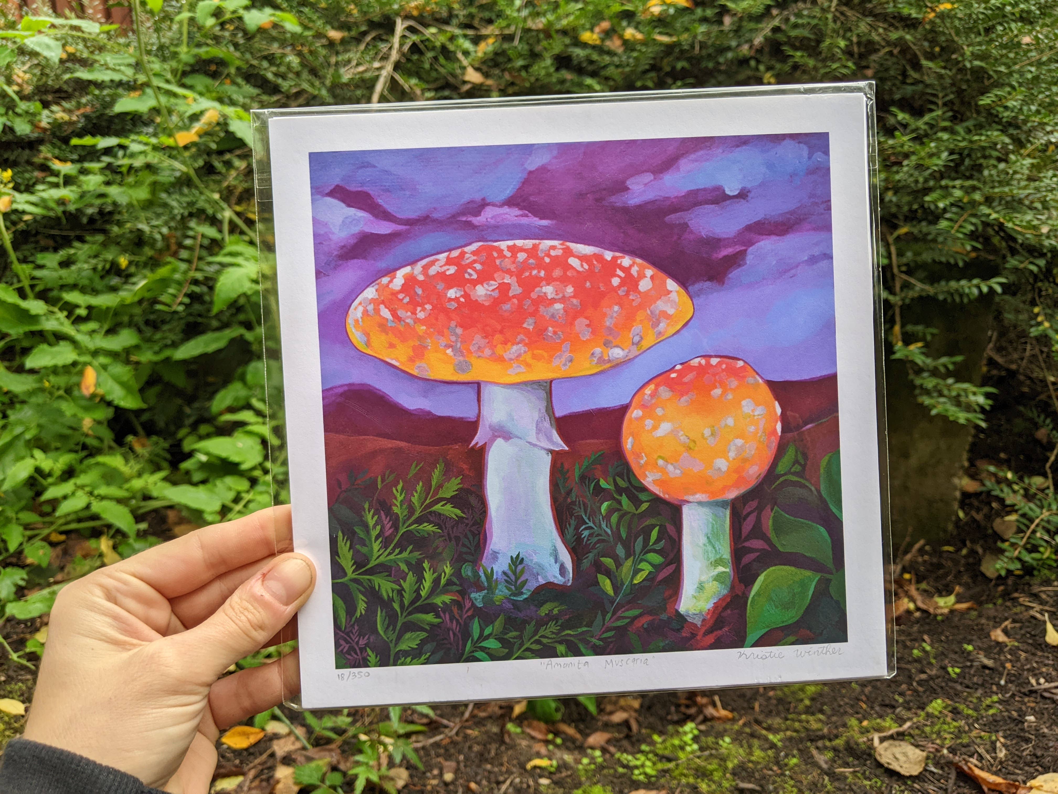 Marigold Art Studios - Wholesale Art Print - Fly Agaric Toadstool Mushrooms Art Print1